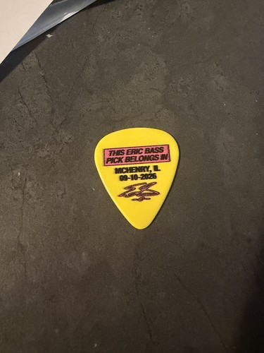 Shinedown eric bass tour - bass,